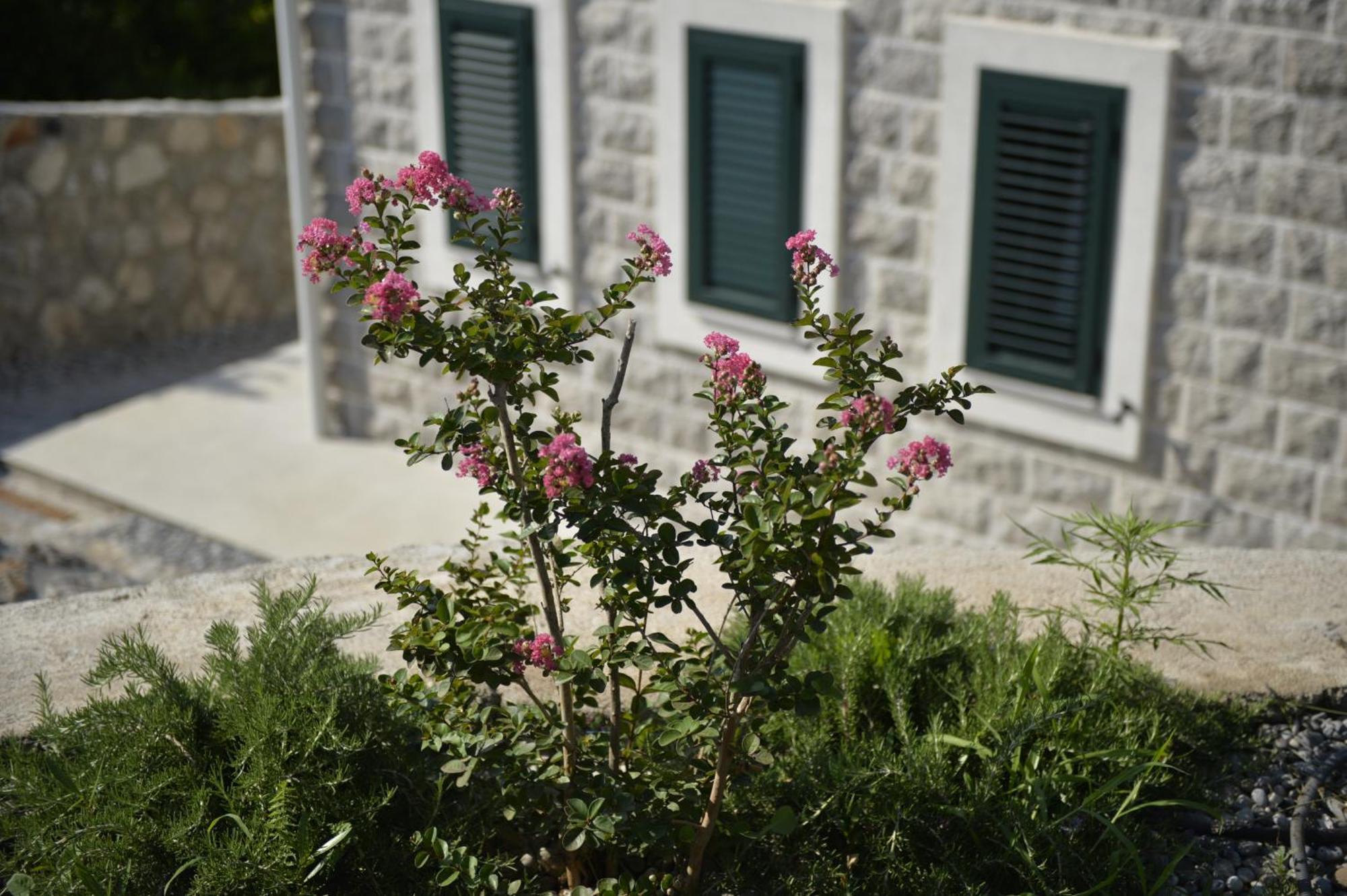 Villa Vista Azzurra Тиват Екстериор снимка